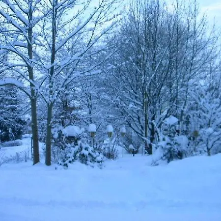 Waldpension Zum Felsenkeller Guest house 3*