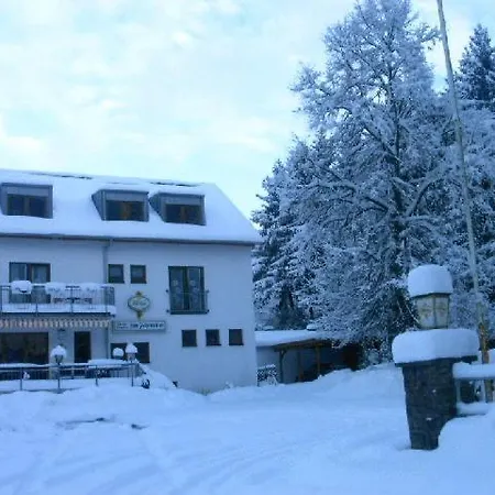 Waldpension Zum Felsenkeller Penzion Lichtenfels-Sachsenberg