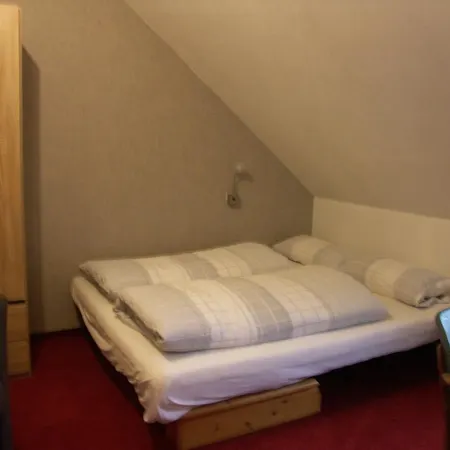 Waldpension Zum Felsenkeller