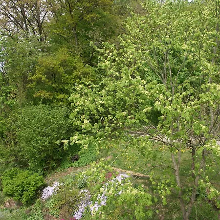 Waldpension Zum Felsenkeller 3* Lichtenfels-Sachsenberg