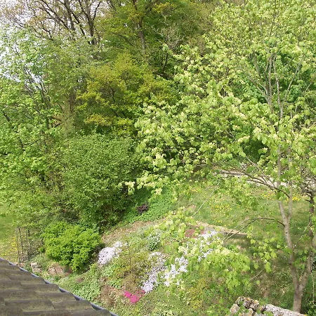 Penzion Waldpension Zum Felsenkeller