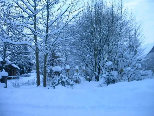 Waldpension Zum Felsenkeller Gasthuis 3*