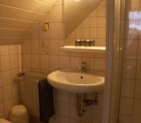 Waldpension Zum Felsenkeller 3*